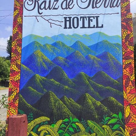Hotel Raiz De Sierra Matlapa Esterno foto