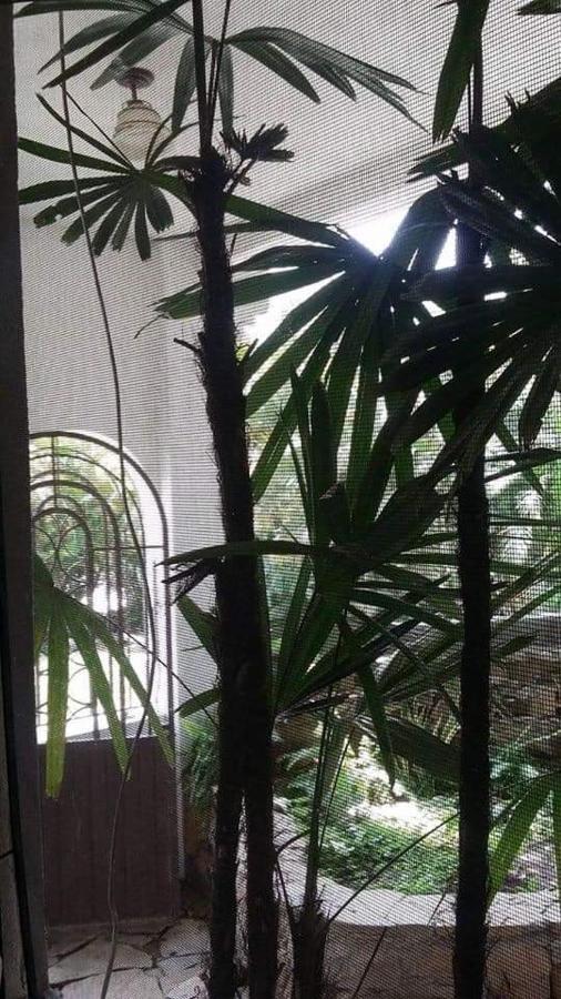 Hotel Raiz De Sierra Matlapa Esterno foto